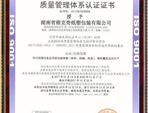 云南ISO9001中文