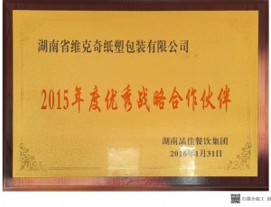 2015年度******战略合作伙伴