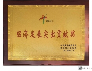 经济发展突出贡献奖